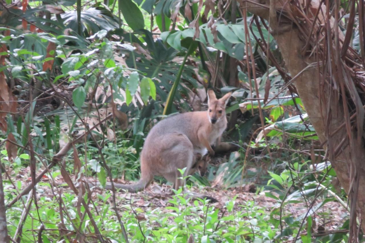Keillor Lodge Maleny Eksteriør billede